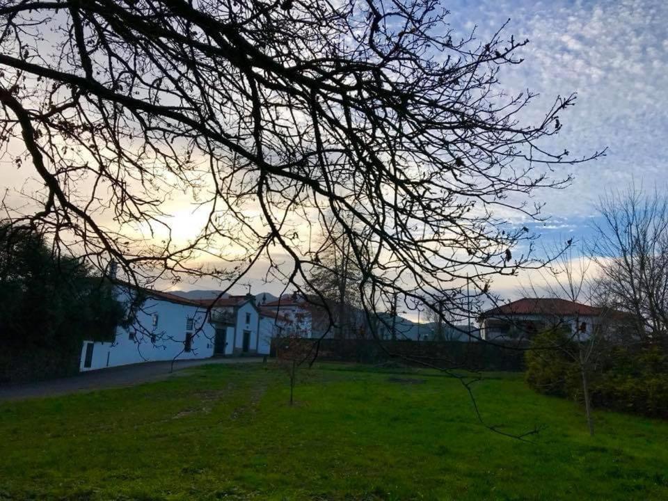 Quinta Santo Antonio Da Pedreira Guest House Facha Екстериор снимка