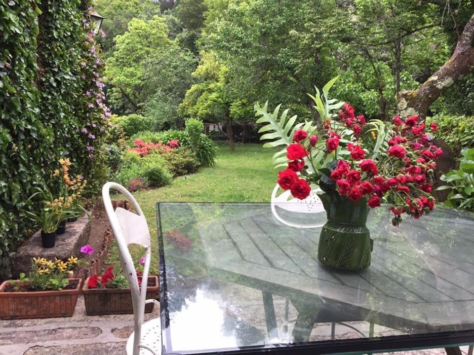 Quinta Santo Antonio Da Pedreira Guest House Facha Екстериор снимка