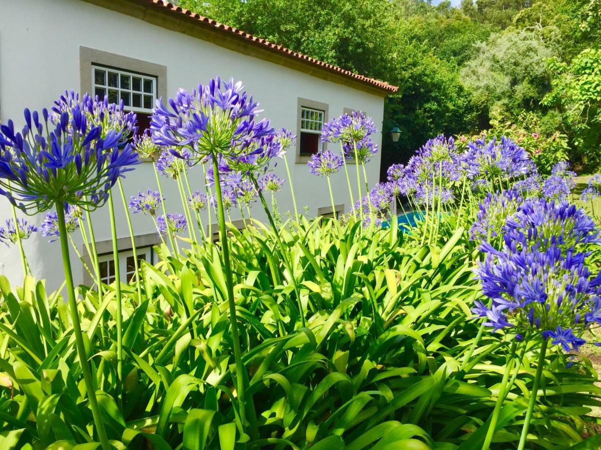 Quinta Santo Antonio Da Pedreira Guest House Facha Екстериор снимка
