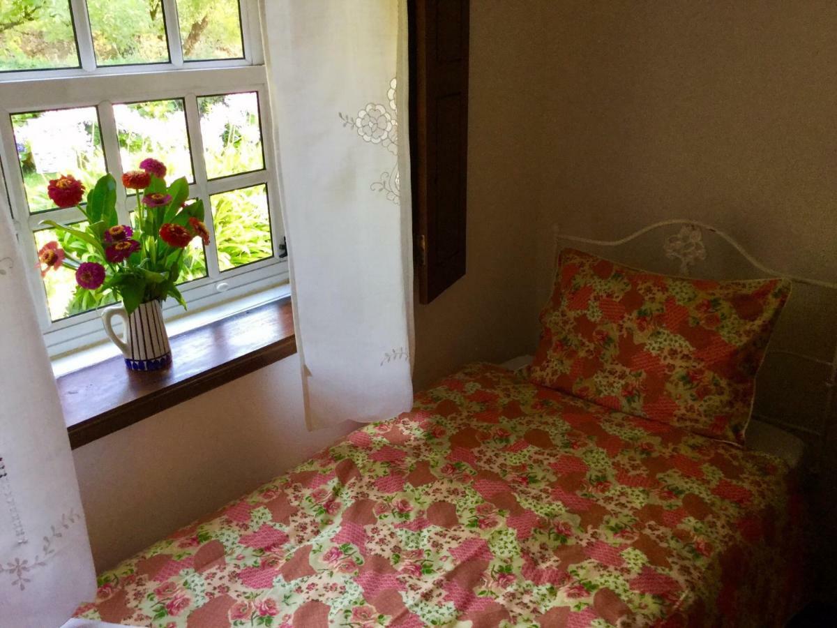 Quinta Santo Antonio Da Pedreira Guest House Facha Екстериор снимка