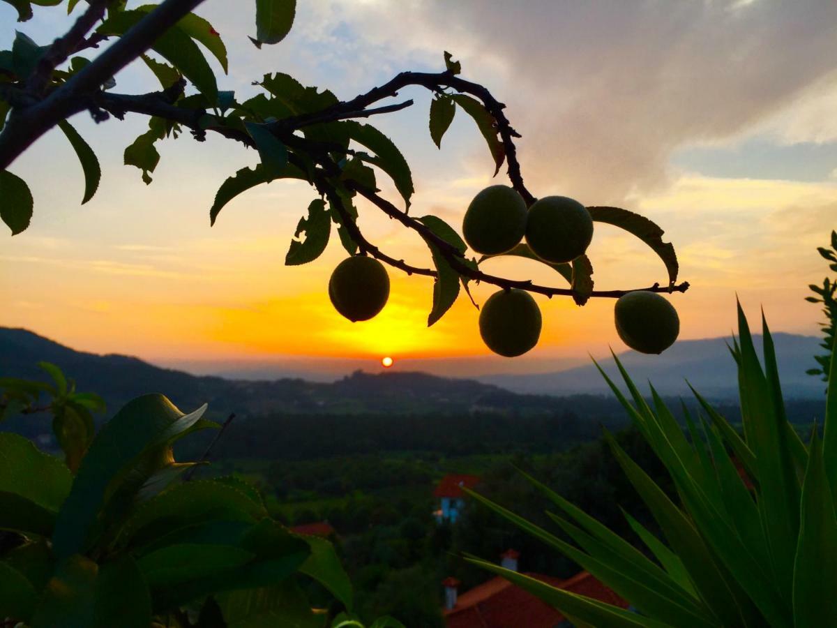 Quinta Santo Antonio Da Pedreira Guest House Facha Екстериор снимка